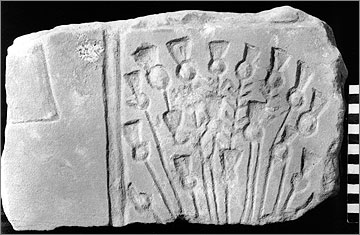 Fragment of limestone wall block from the Great Palace decorated with a clump of cornflowers (34/183)
