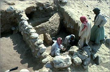 Animal pen (of the no. 300 group) during excavation.