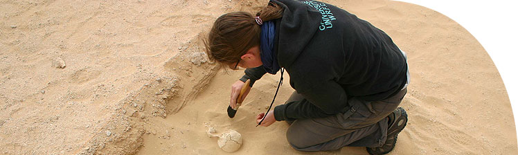Cleaning sand from a skull in the South Tombs cemetery (Grid 14) behind the South Tombs (2006 season).
