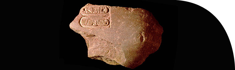 Shoulder from a quartzite statue of Akhenaten inscribed with the cartouches of the Aten. 